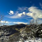 Il giorno dopo la nevicata