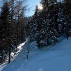 il giorno dopo la nevicata