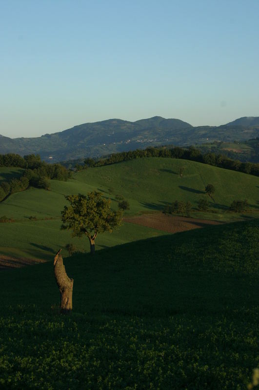 Il giovane e l'anziano