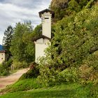 Il grande albero delle fornaci