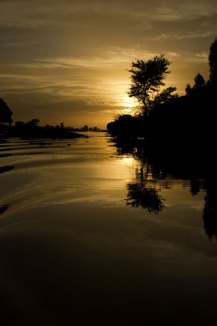 Il grande fiume Niger