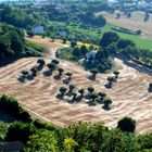 IL GRANO BATTUTO...    BACIATO DAL SOLE