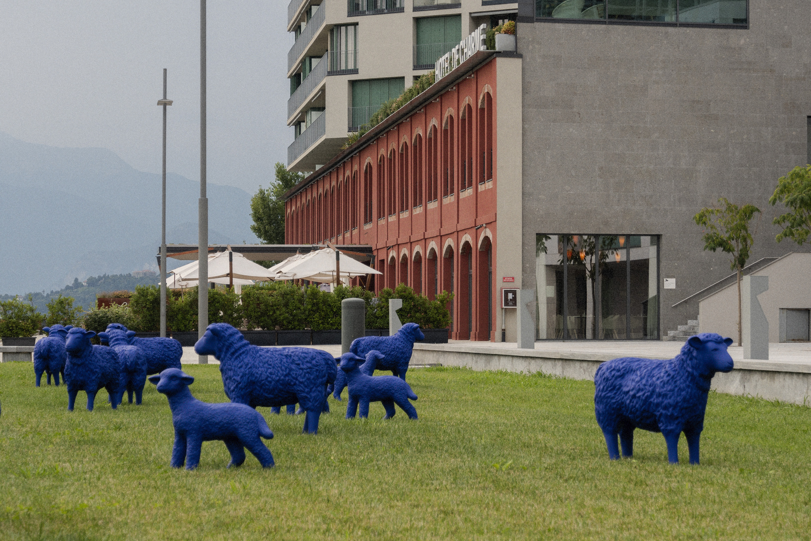 Il gregge di Laveno