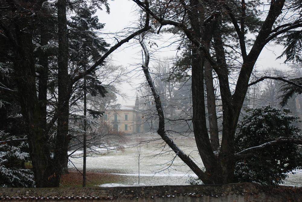 il grigio dell'inverno