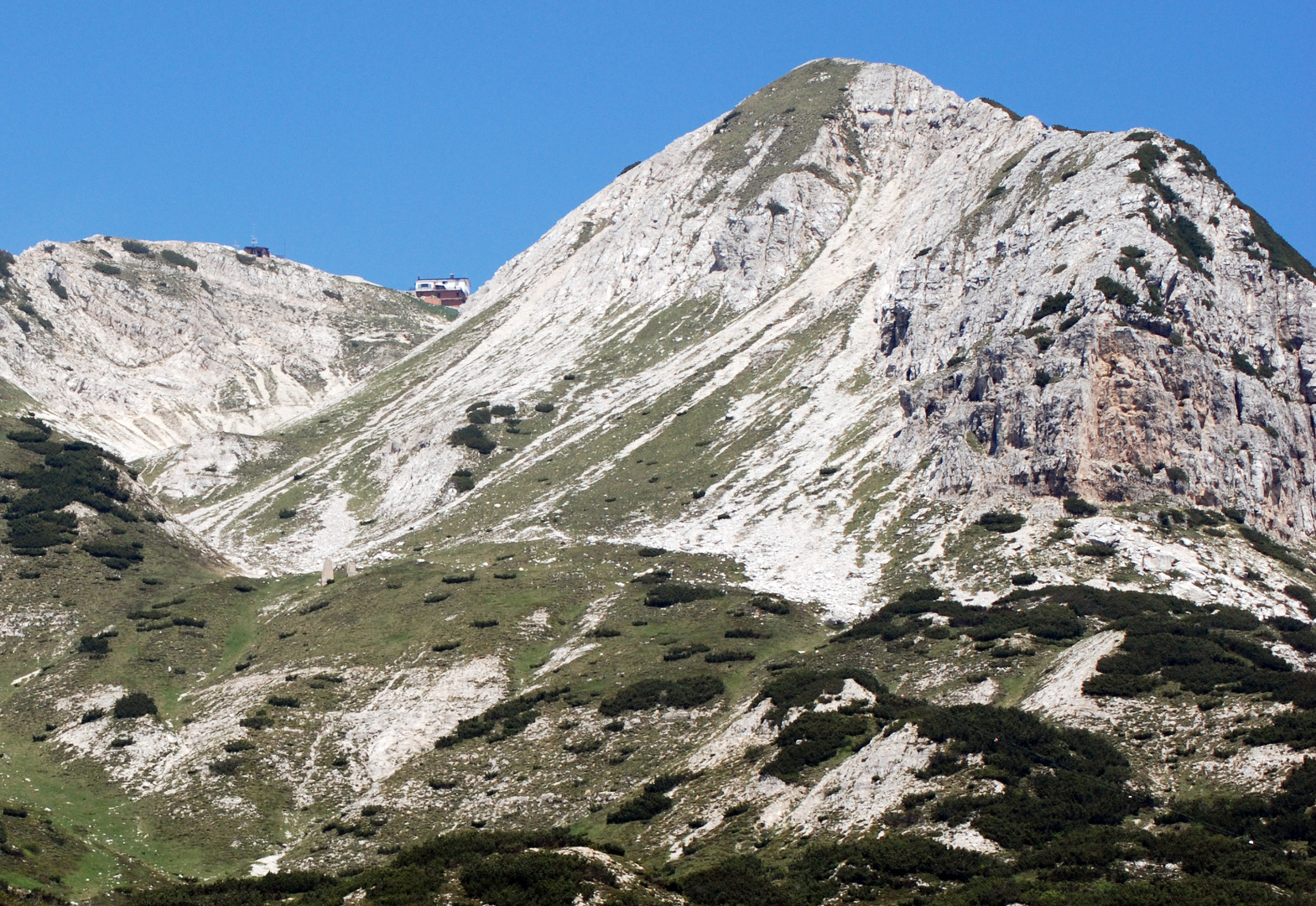 il gruppo del carega