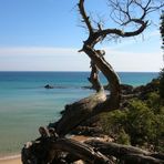 Il guardiano del mare