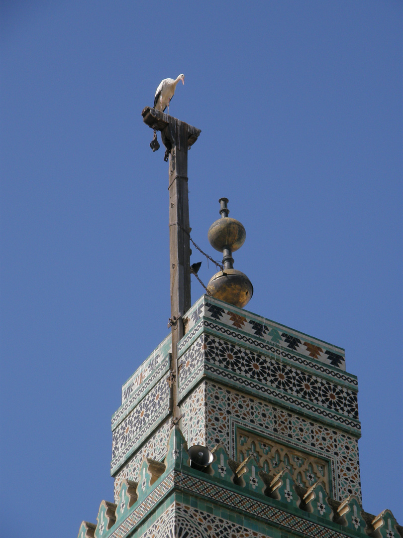 Il guardiano del minareto