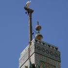 Il guardiano del minareto