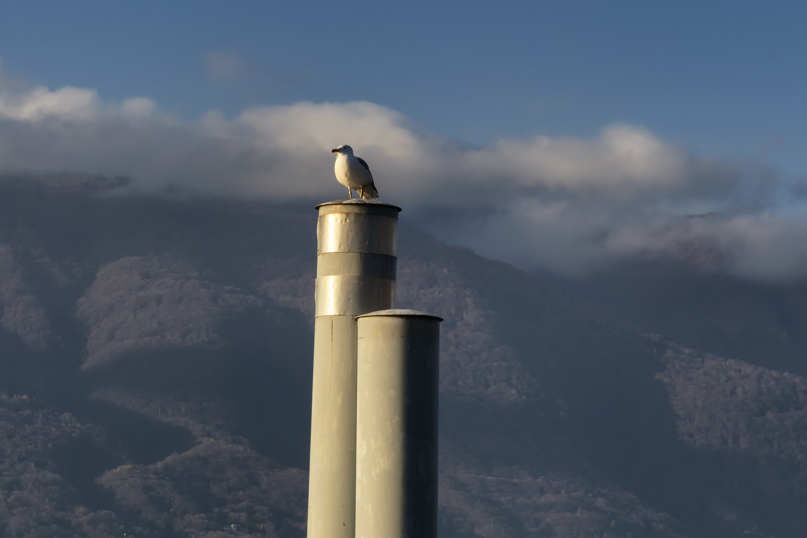 Il guardiano del porto