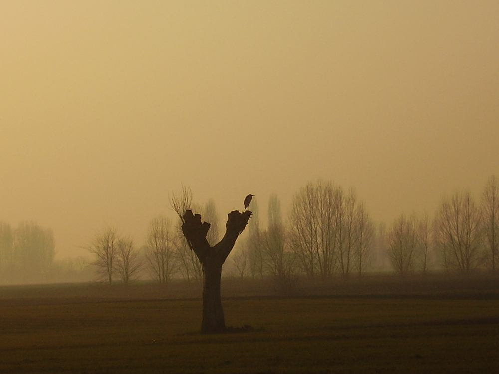 il guardiano della sera