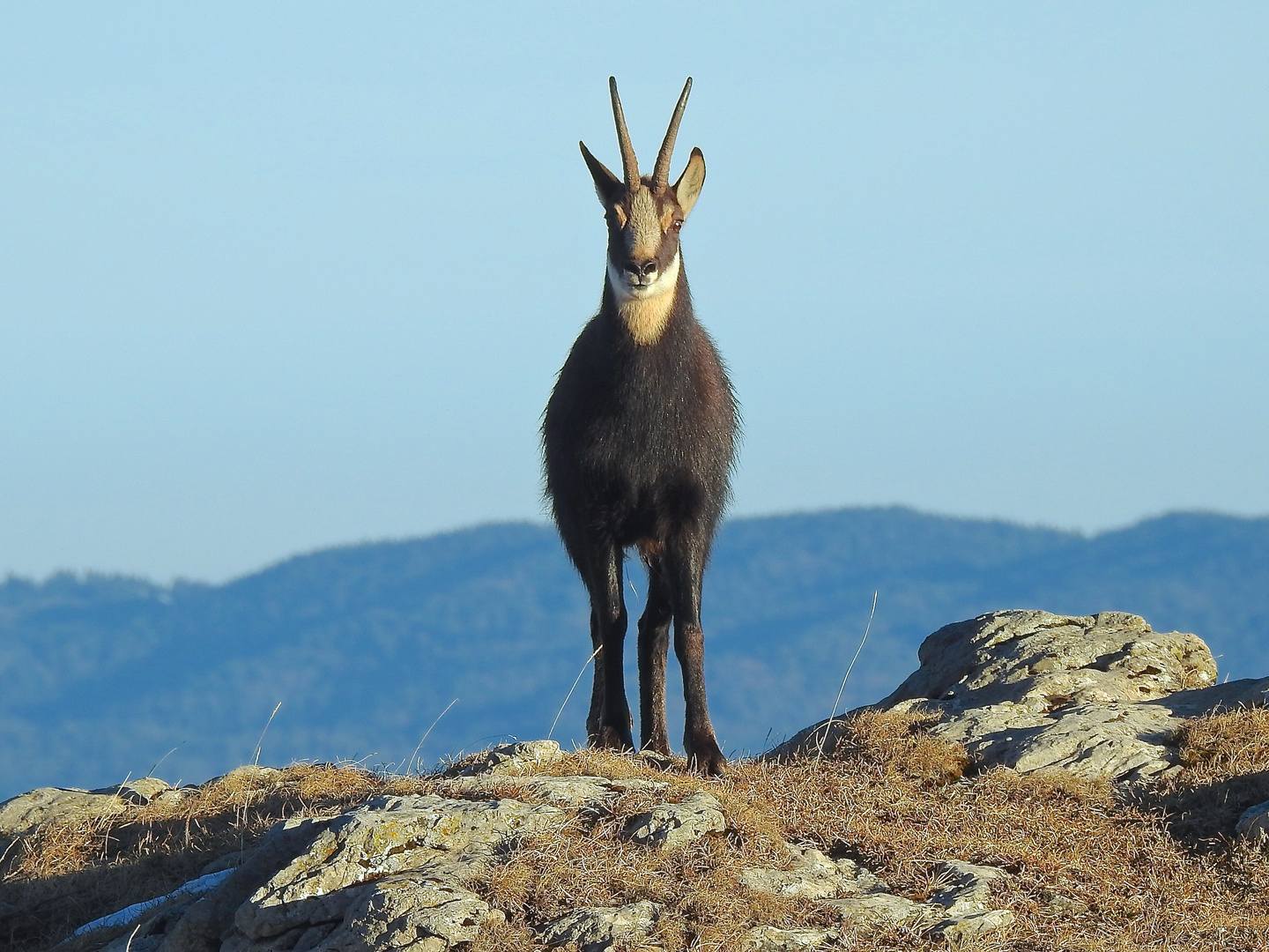 Il guardiano delle montagne