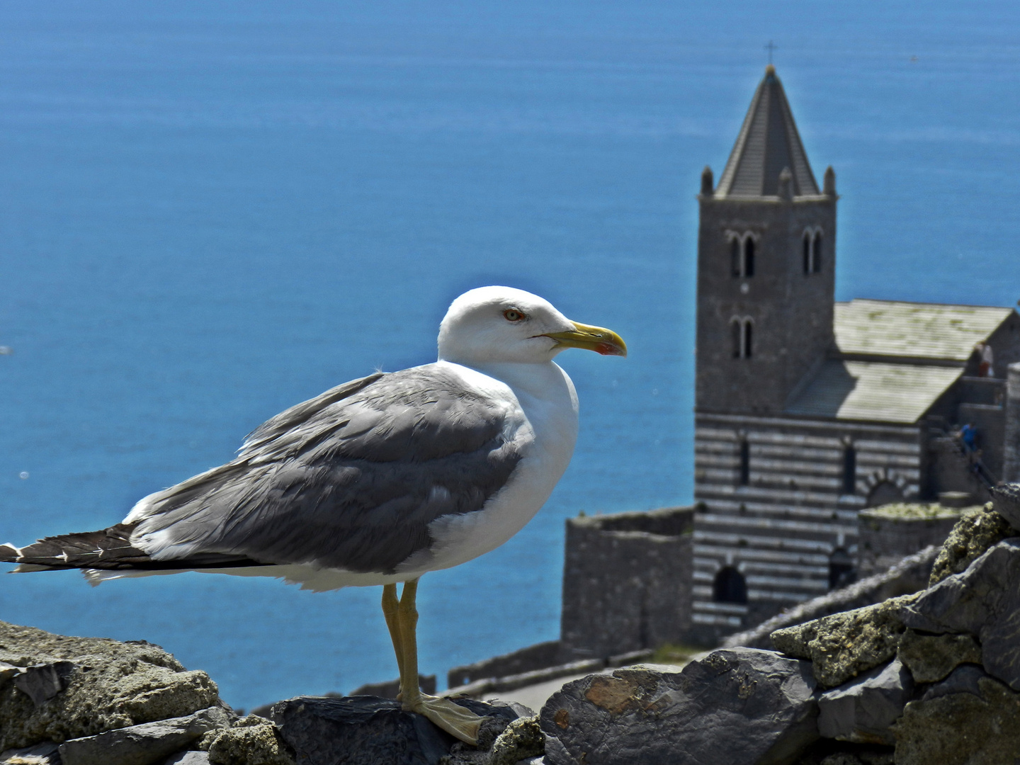 Il guardiano