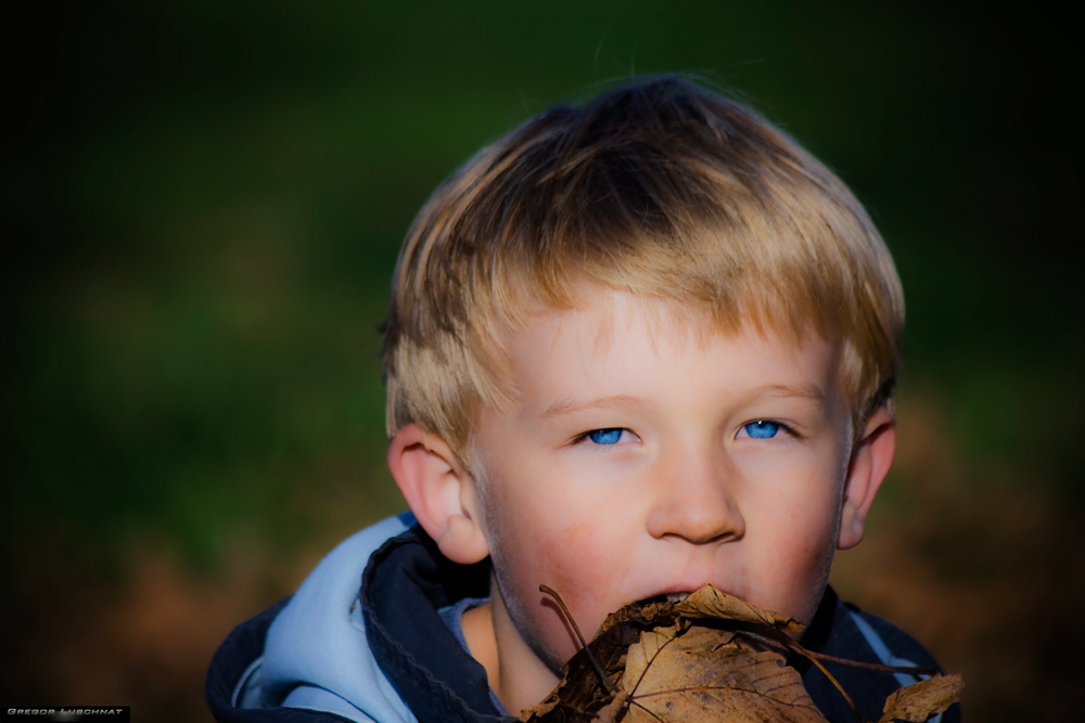 Il gusto di autunno