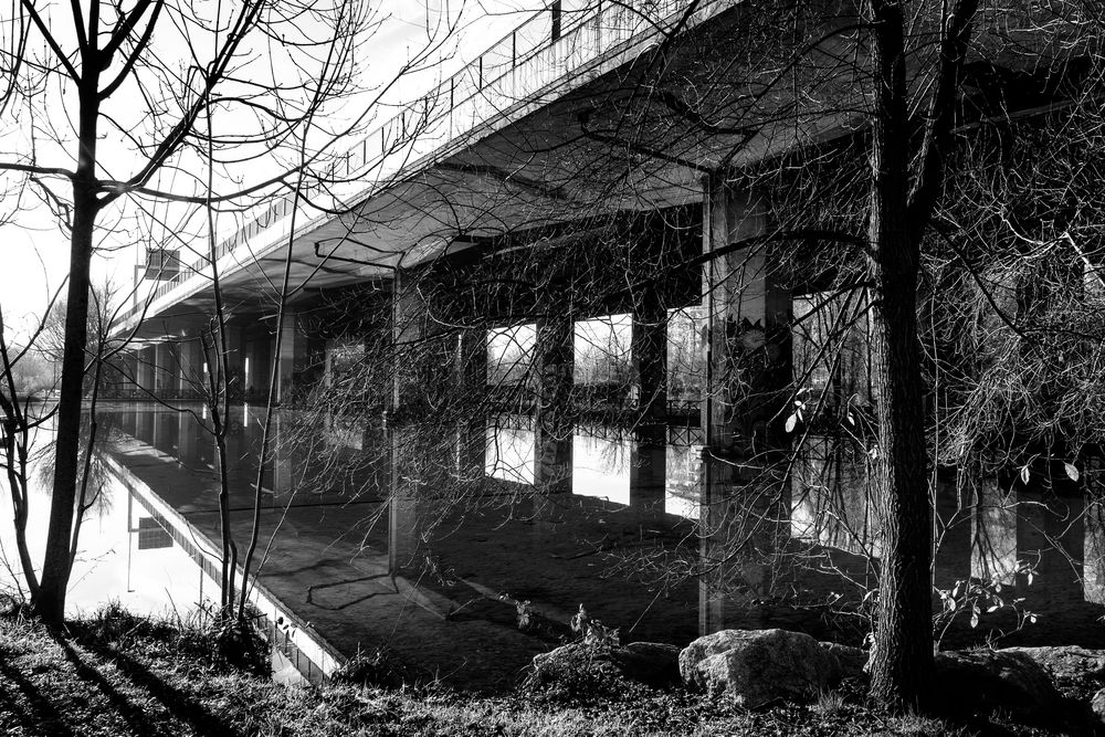 Il laghetto sotto la tangenziale