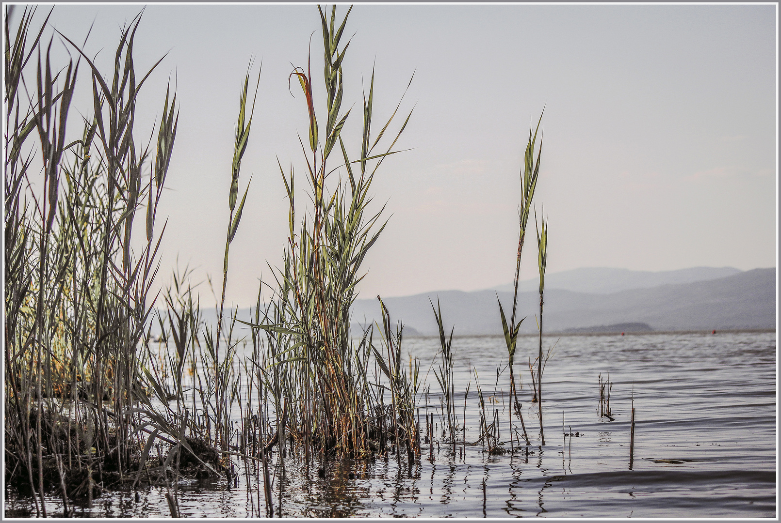 Il Lago