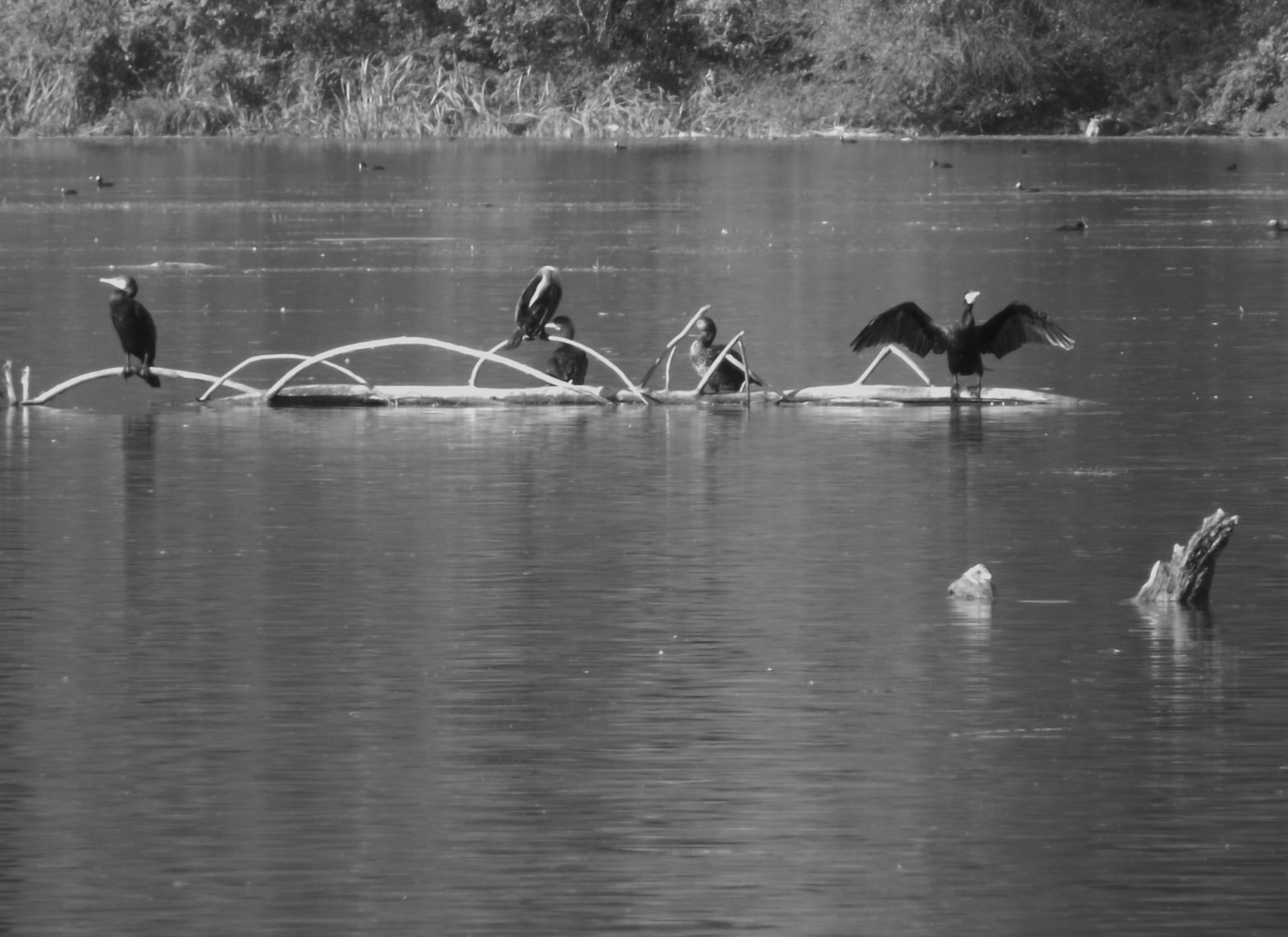 Il lago Aja