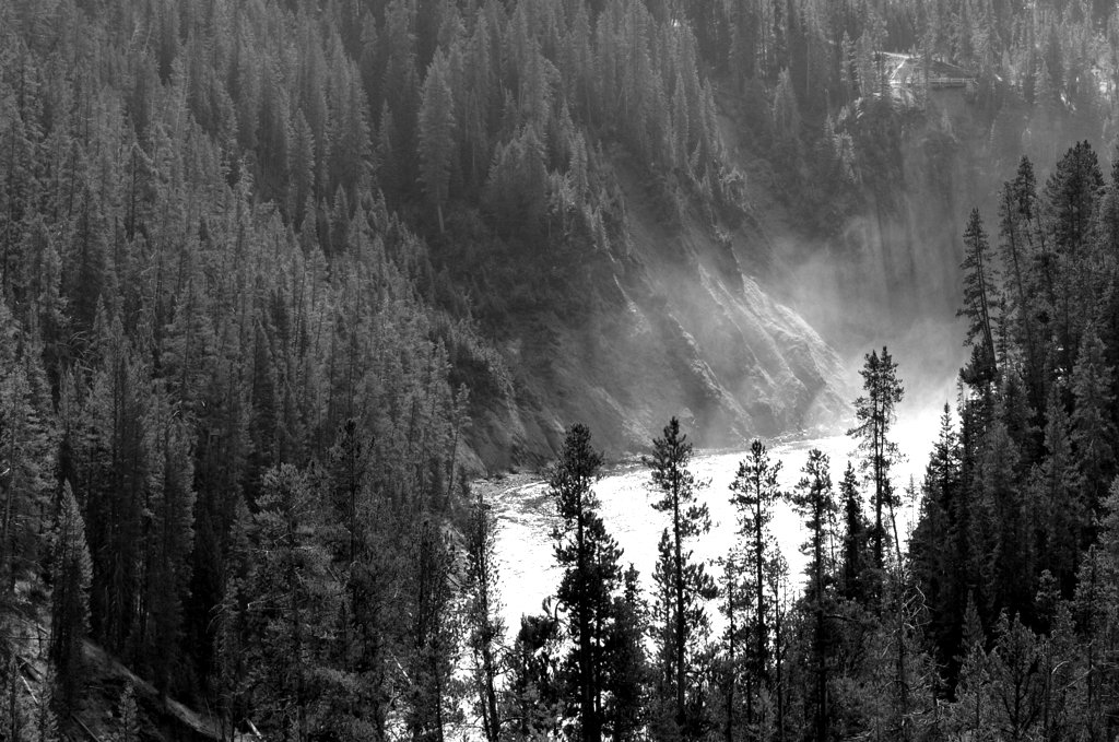 il lago avvolto nella nebbia nei boschi di Yellowstone