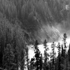 il lago avvolto nella nebbia nei boschi di Yellowstone