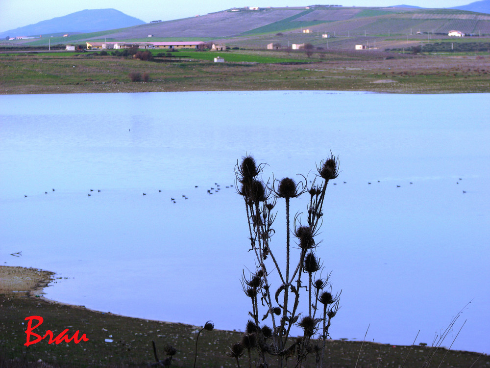 Il lago bleu.