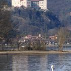 Il lago del cigno