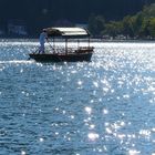 Il lago di Bled (slovenia)