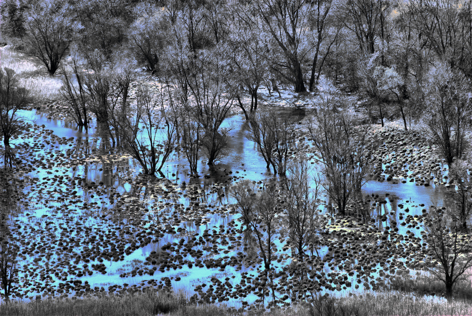 Il lago di Doberdò