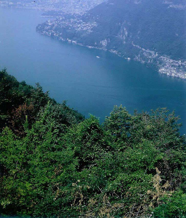 Il Lago di Lugano