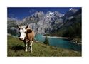 Il lago di Oeschinen von AL dente 