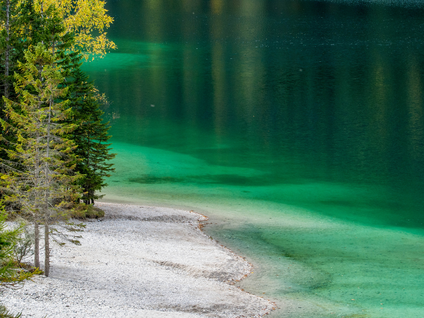 il lago di Tovel ... o lago rosso .... ???