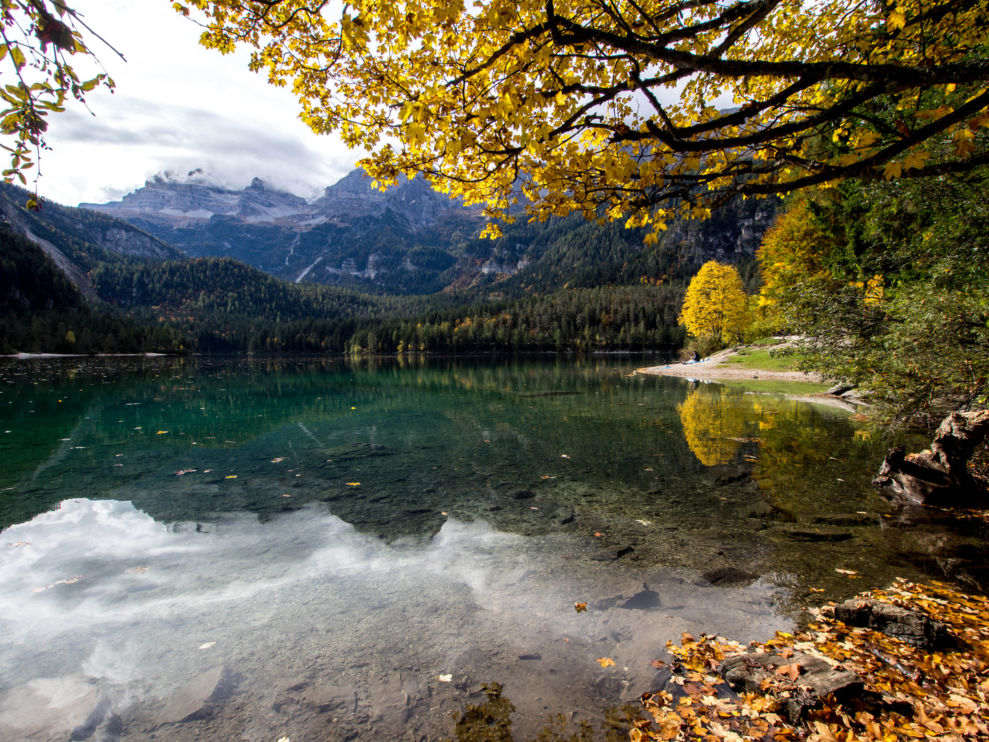 il lago di Tovel ... o lago rosso