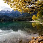 il lago di Tovel ... o lago rosso