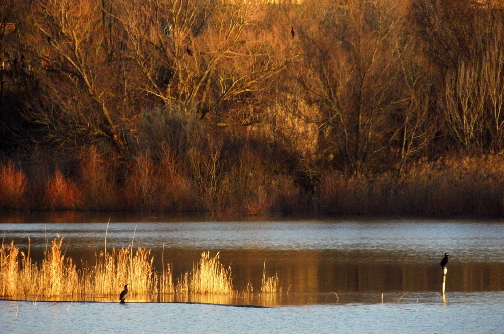 il lago dorato...