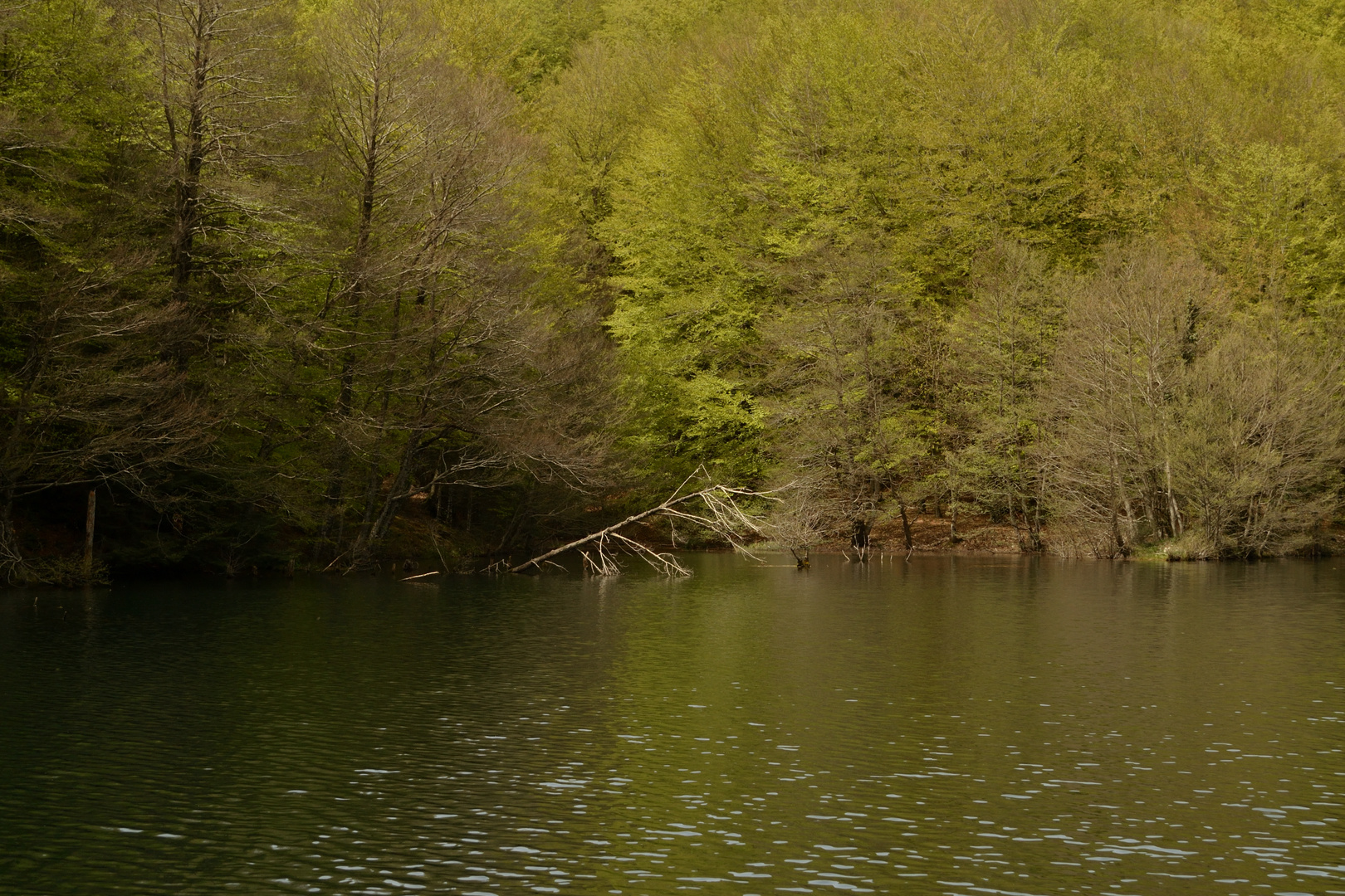 Il Lago Giulia (Monti delle Serre, Calabria)