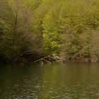 Il Lago Giulia (Monti delle Serre, Calabria)