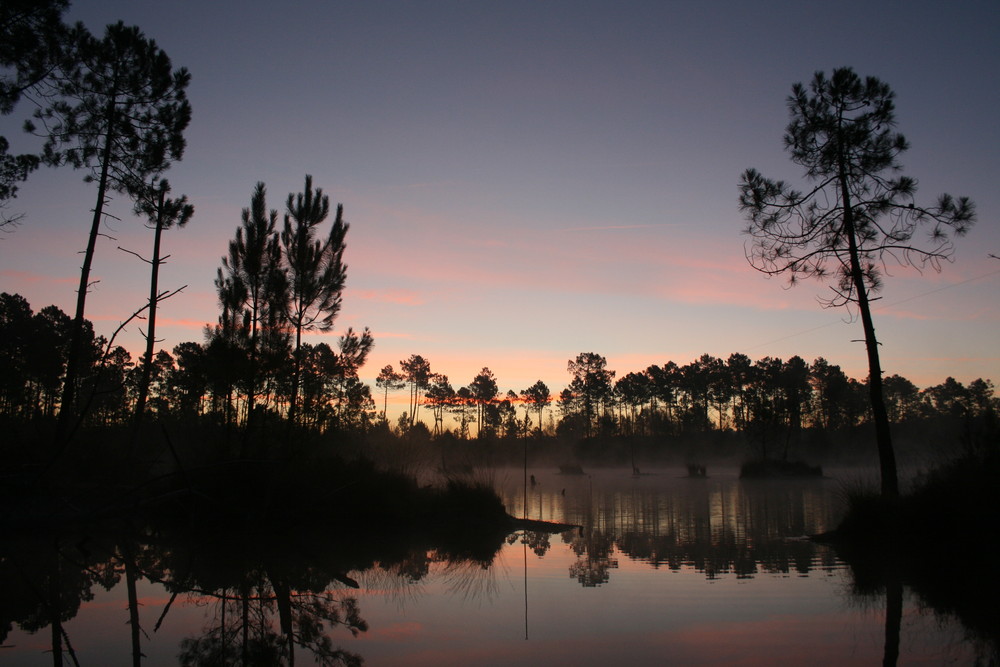 Il lago si sta svegliando