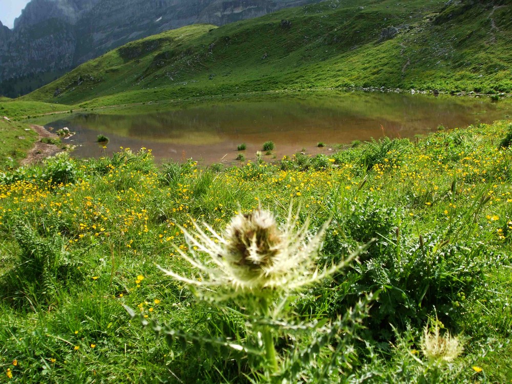 Il Lago Spinale