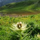 Il Lago Spinale