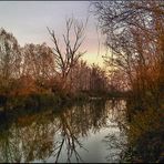 IL LAGO...NO' IL TORRENTE DORATO!!