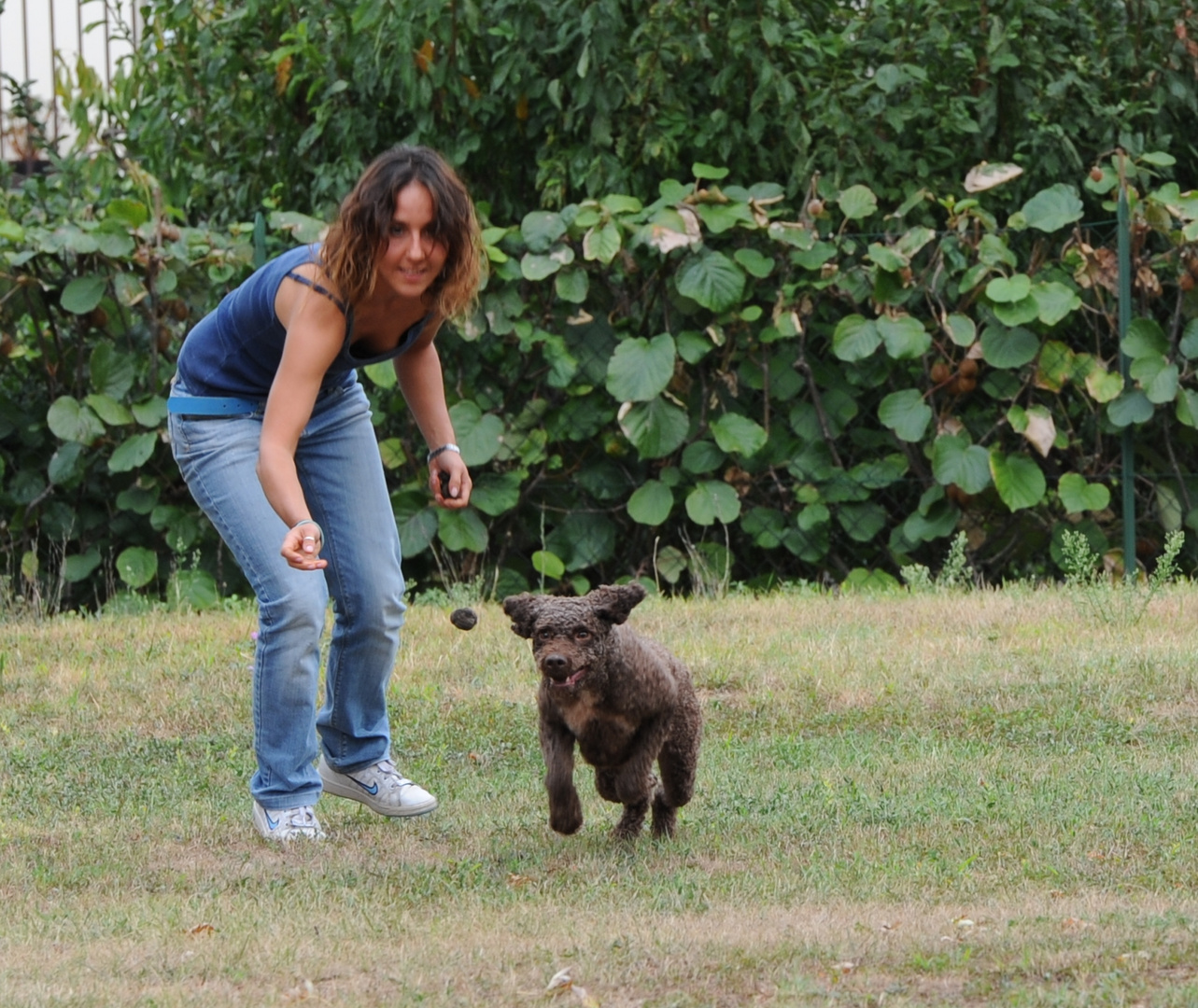 IL LAGOTTO E IL TARTUFO