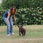 IL LAGOTTO E IL TARTUFO