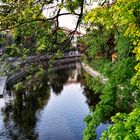 Il Lambro a Monza