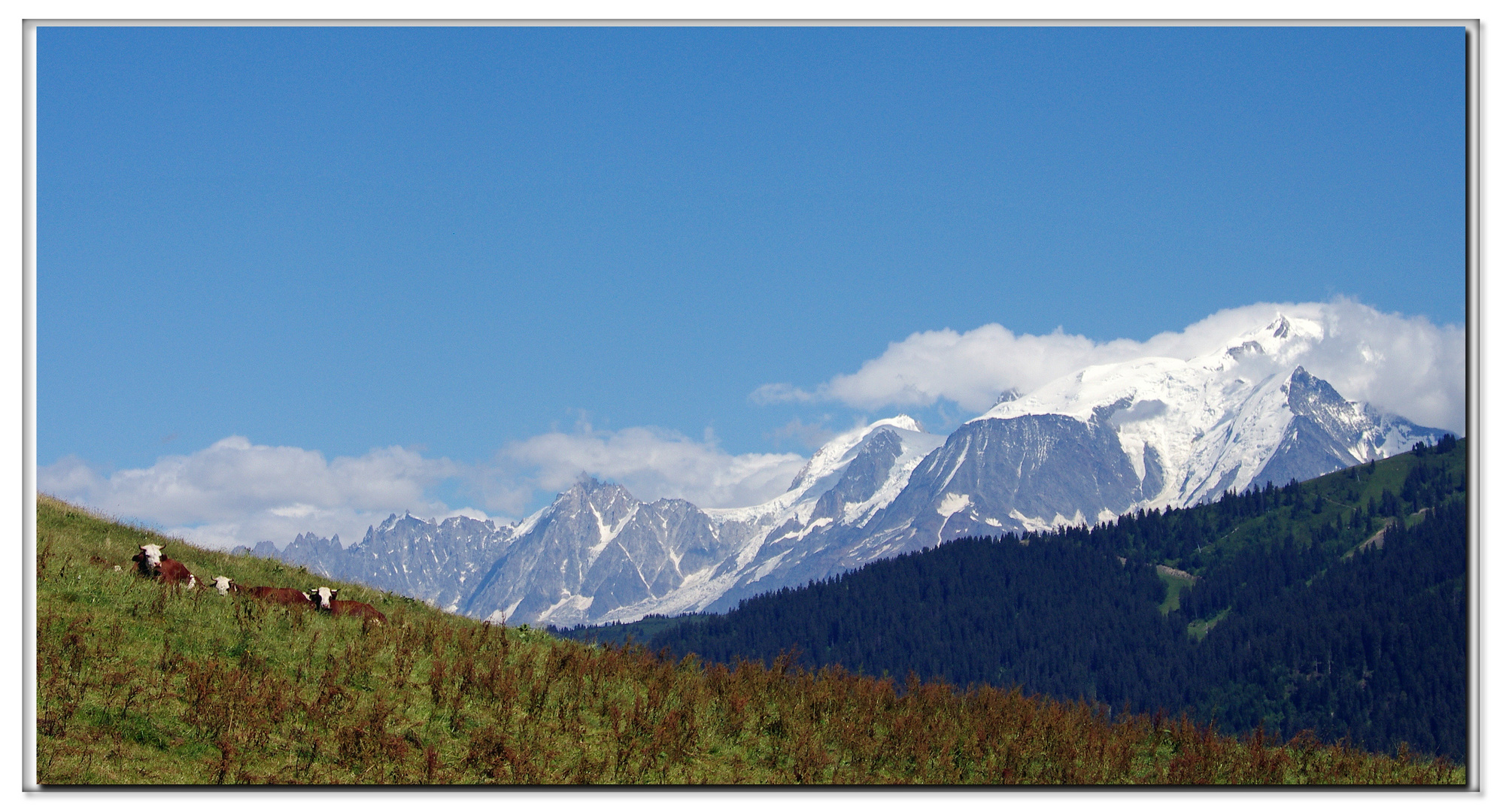 il latte viene meglio se il prato ha vista sul monte bianco ?