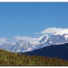 il latte viene meglio se il prato ha vista sul monte bianco ?