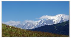 il latte viene meglio se il prato ha vista sul monte bianco ?