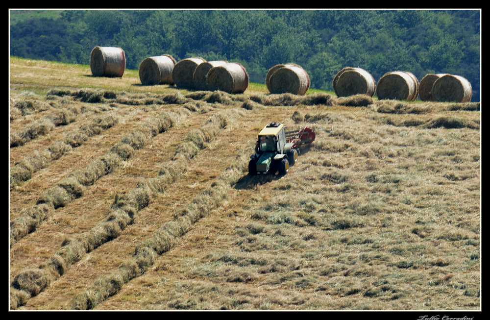 ..il lavoro estivo!..