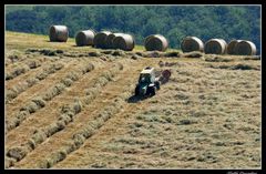 ..il lavoro estivo!..