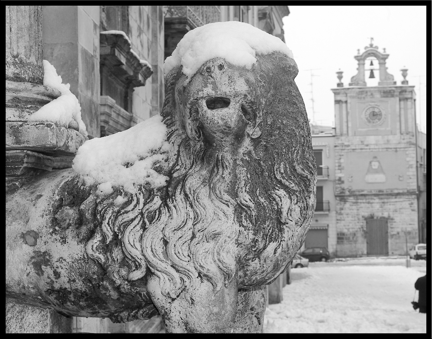 il leone bendato