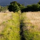 Il libro della natura