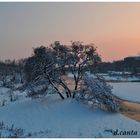 il lungo parma con la neve