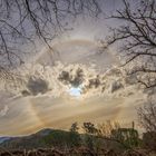 Il magico spettacolo della natura